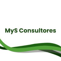 MyS Consultores(@mysconsultores1) 's Twitter Profile Photo