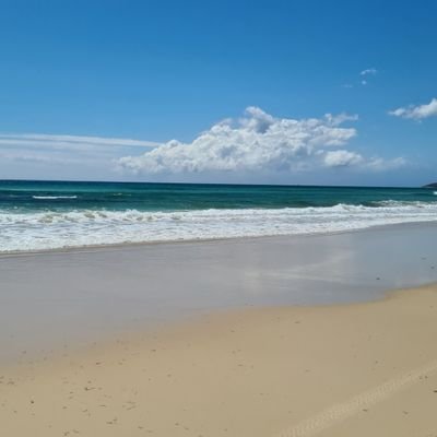bihubby4165's profile picture. 