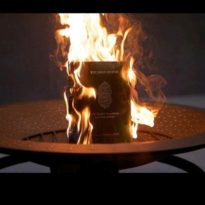 LangleyNeil's profile picture. 