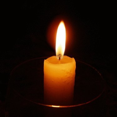 siirevreni's profile picture. sesi olmayanı da duyabilir şair...
#IStandWithGreta 
#UniteBehindTheScience 
#ClimateEmergency 
#iklimAcilDurumu 
#İstanbulSözleşmesiYaşatır.   
Born at 300 ppm