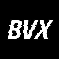 BVX (Brave Virtual Experience) (@bvx_otb) 's Twitter Profile