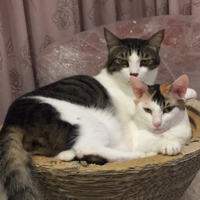 richardhxoxo's profile picture. 