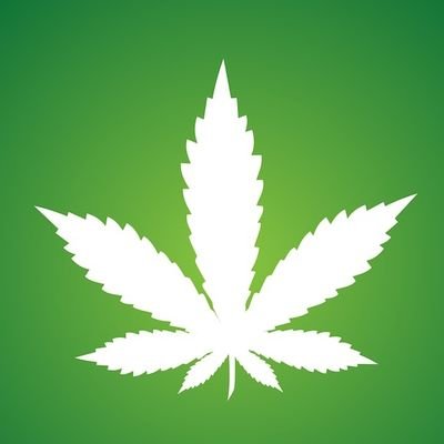 fraankho's profile picture. 