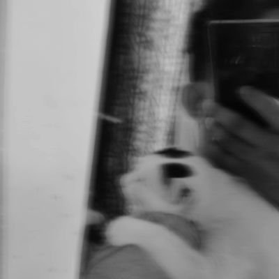 Sadiq_here's profile picture. Python | Full-Stack WebDev | #100devs