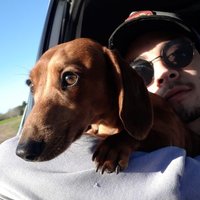 IB 🇦🇹 (@ivaanbalardini) 's Twitter Profile Photo