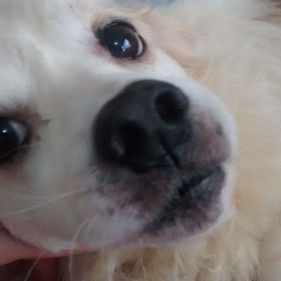 dCrusiusさんのプロフィール画像