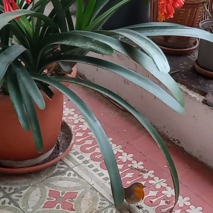 Elisabe07557475's profile picture. 