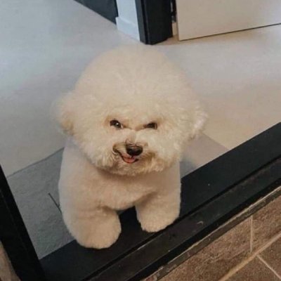 HenryHd70856325's profile picture. cuando todo el mundo estaba parpadeando tú eras el único que tenía realmente abierto sus ojos