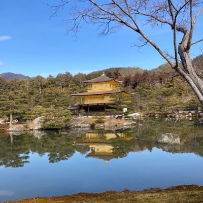 元@cDfOcB3hNQCTVQ2 です 政治垢です。 パスワードを紛失したので作り直しました。 障害者なので日本語不自由