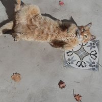 Rosario (@roventafridda) 's Twitter Profile