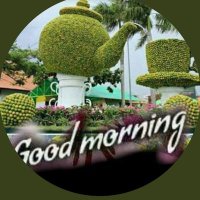 فحل باکستانی الریاص (@asif_asif11224) 's Twitter Profile