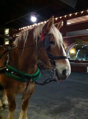 cinditn72's profile picture. 