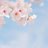 子・孫に奇麗な日本を遺すのアイコン