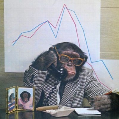 Finance__Monkey's profile picture. #SeriousMonkey on duty to share knowledge!
Cool bananas😎🦍