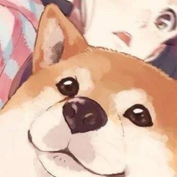 Muvac11's profile picture. 拼图正在一片片地落入属于它们的位置