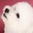 Sandy_K83's profile image