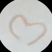 Dannbo (@dannbo315) 's Twitter Profile