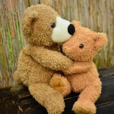 kongxin666's profile picture. 