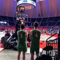 Scales Mound Sports (@sm_hornets) Twitter profile photo