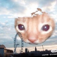 小燈小瘋_okkiiss🍎 (@okkiiss3) 's Twitter Profile Photo