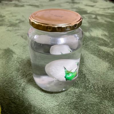 cZwFm9yiBHC5Ox's profile picture. 最近クレーンゲームが趣味です。1月1万以上使うことが多いです。上達しません。誰か拾ってください🏗🎮