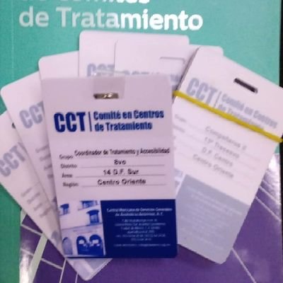 Comité de Tratamiento y Accesibilidad 8° Distrito Área 14  DF Sur. Region Centro Oriente