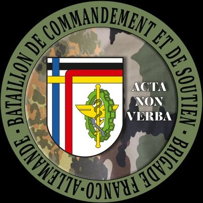 BcsBfa's profile picture. Bataillon de commandement et de soutien de la @bfa 🇨🇵🇩🇪