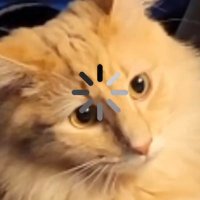 Xander (@gravityfalls98) 's Twitter Profile
