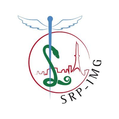 Syndicat Représentatif Parisien des Internes de Médecine Générale • Présidente @martinezmargot_ • Membre de @ISNItwit et @ISNARIMG •  ✉️ secretaire@srp-img.com