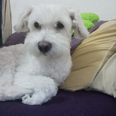 MarcoACastroBa1's profile picture. 