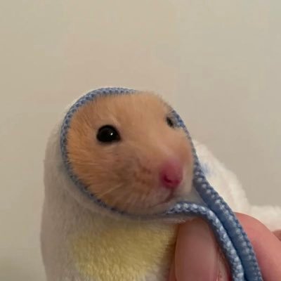 iiliiooo's profile picture. 임종