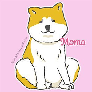 Doctorでyogini。2021.8月から秋田犬ももちゃんと暮らし始めました。医療も犬との暮らしも、寄り添う心が大切、が信念。世の中が愛で溢れますように✨ ☞ももちちゃんねるhttps://t.co/1t1eNuqtin