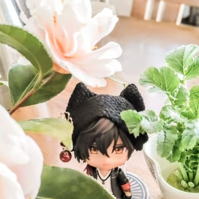 たつみさんのプロフィール画像