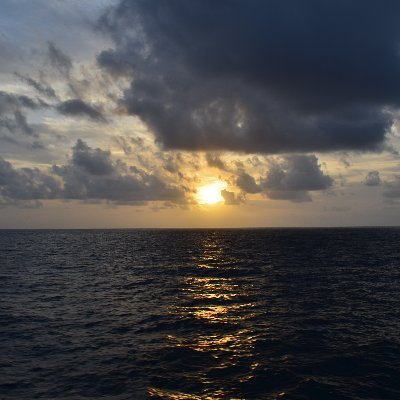 BearBryan51's profile picture. Love my Bears, Family and Country.