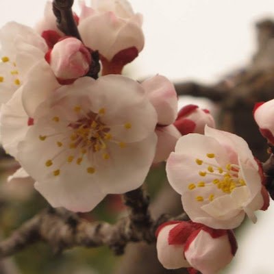 athena2898's profile picture. 