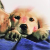 \u200B (@liquesc1mus) 's Twitter Profile