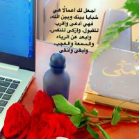 أ/منى الرويلي (@seeff2030) Twitter profile photo