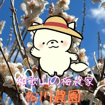 松川農園～和歌山の梅農家～梅干しの加工や畑での作業の様子をおとどけさんのプロフィール画像