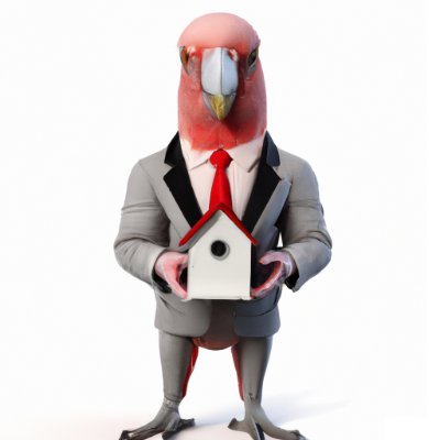 From the outback to the Real Estate market: A Galah's take on the housing boom and bust.