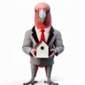 propertygalah's profile picture. From the outback to the Real Estate market: A Galah's take on the housing boom and bust.