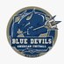 Mairena Blue Devils (@MBlueDevils) Twitter profile photo