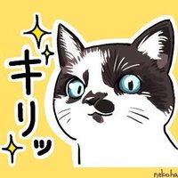 ゴルちゃんゴアちゃんたちのママ (@gorugoa_mama) 's Twitter Profile Photo ゴルちゃんゴアちゃんたちのママ (@gorugoa_mama) 's Twitter Profile Photo
