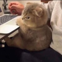 tuğğğ (@tugceb_b) 's Twitter Profile