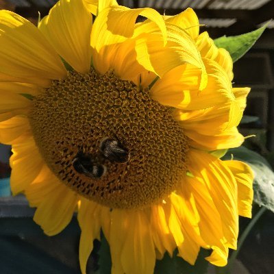 Krumply4's profile picture. Not everyday is a good day but there is good in everyday.