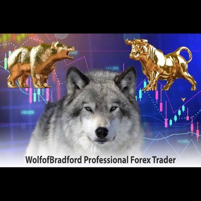 professional forex and currency trader free lessons in discord link below