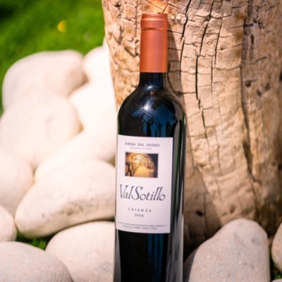 valsotillo's profile picture. Bodega familiar fundada en 1979, ubicada en Sotillo de la Ribera (Ribera del Duero). Nuestros vinos: Mesoneros de Castilla y ValSotillo