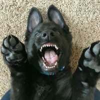 Nothing (@white81800) 's Twitter Profile