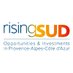 risingSUD (@risingSUD) Twitter profile photo