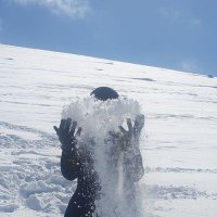 ملکه سرزمین خیال (@gorbeye_sherek) 's Twitter Profile