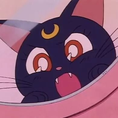 541_4ce's profile picture. 04/春から法政/人間環境/i組/🇨🇳
無言フォロー🙇‍♀️🙇‍♀️